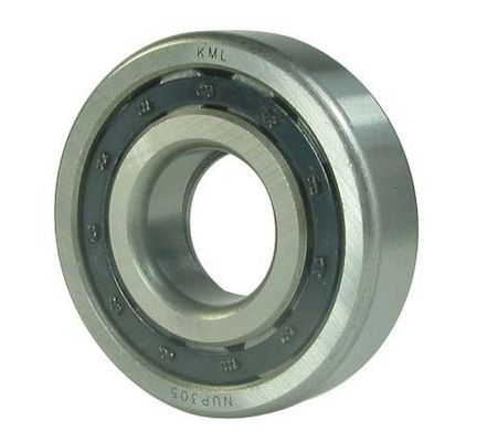 China Single row cylindrical roller bearings NUP1019 NUP219 NUP319 exporter